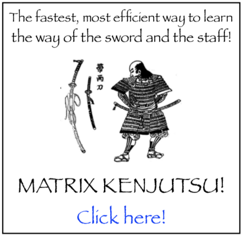 japanese samurai sword fight